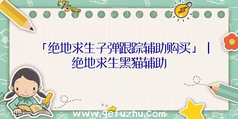 「绝地求生子弹跟踪辅助购买」|绝地求生黑猫辅助